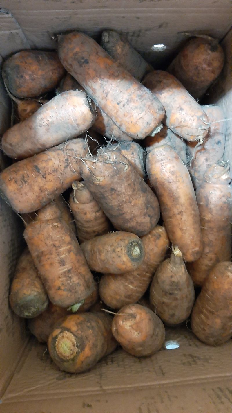 김해순님의 장터 구매 후기 썸네일