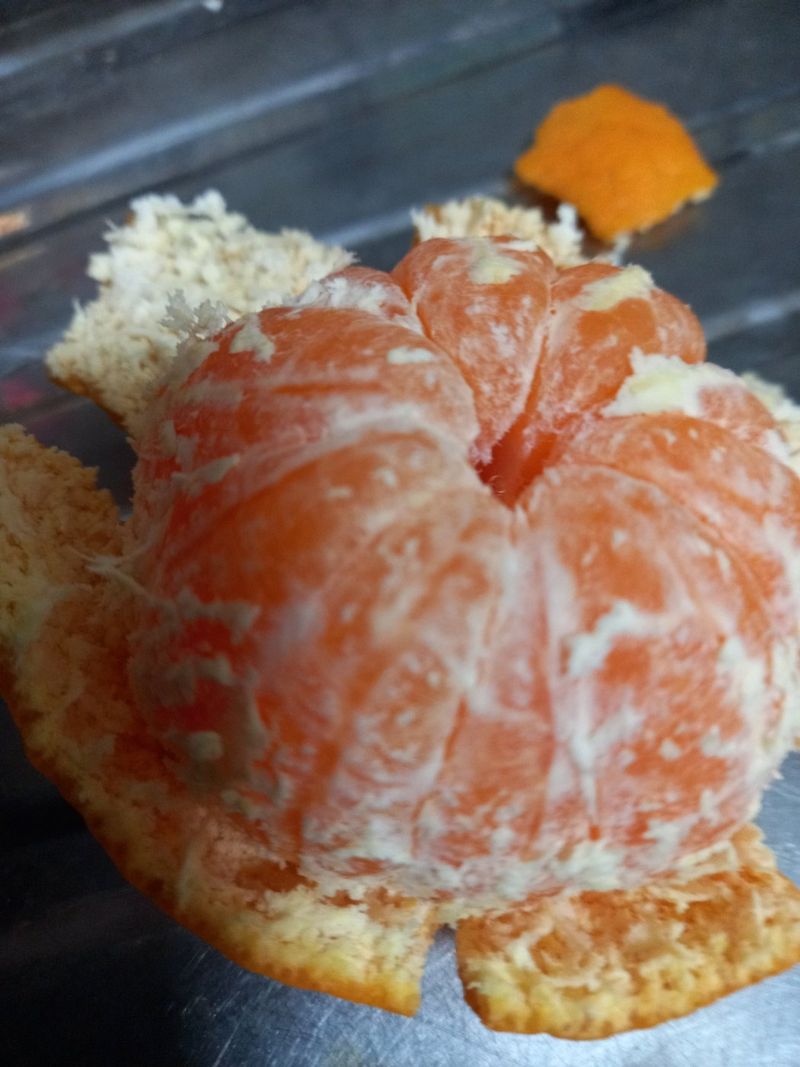 믿고사는농원-송미경님의 장터 구매 후기 썸네일