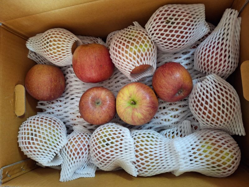 강은숙님의 장터 구매 후기 썸네일