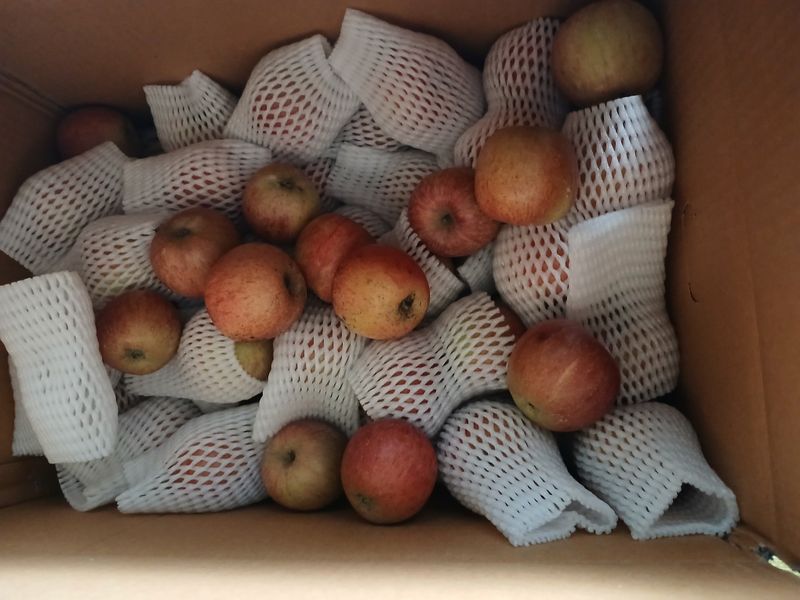 박준성 강님의 장터 구매 후기 썸네일