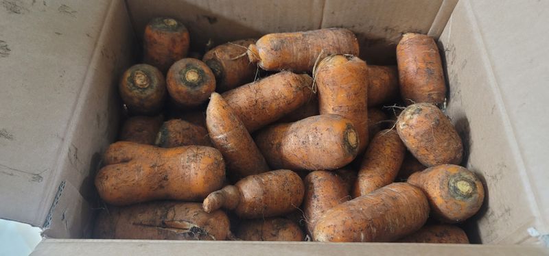 이근경님의 장터 구매 후기 썸네일