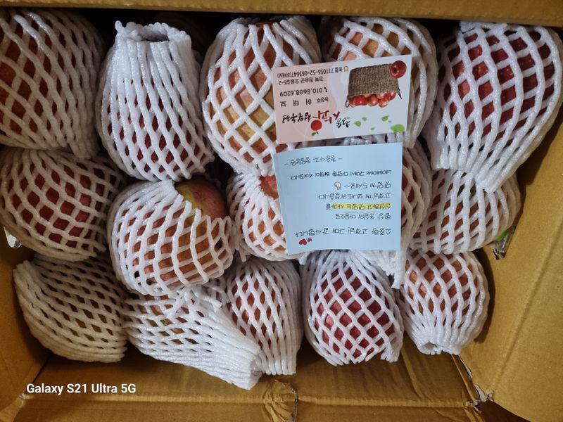 김주익님의 장터 구매 후기 썸네일