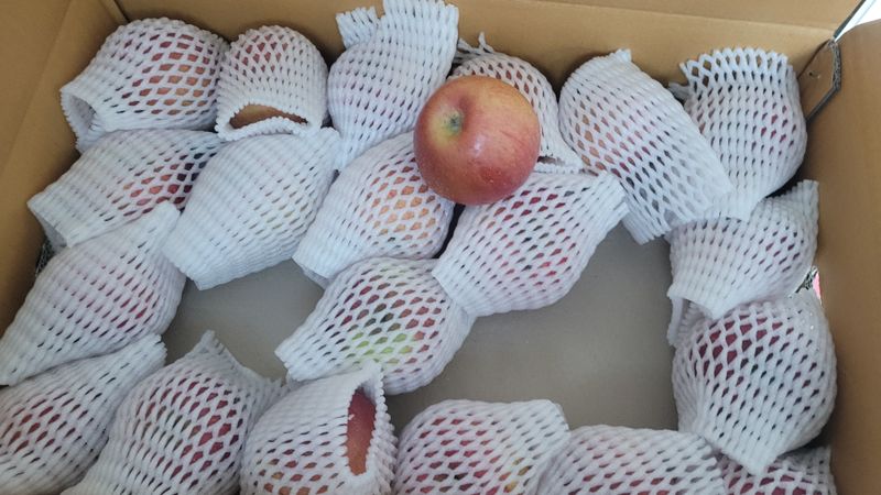 이근엽님의 장터 구매 후기 썸네일