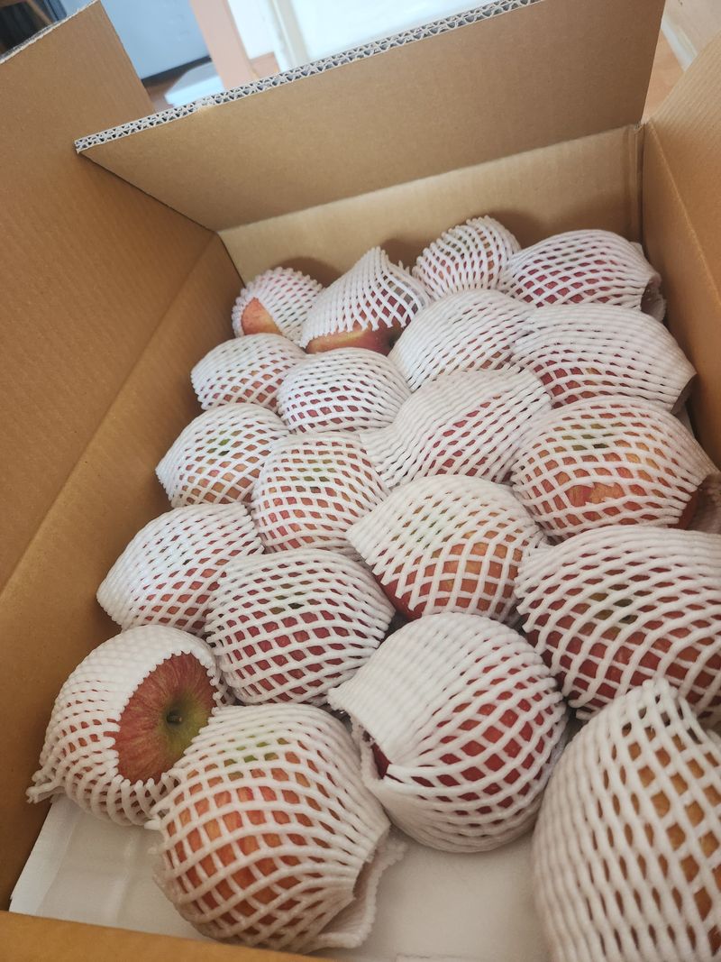 토마토21409님의 장터 구매 후기 썸네일