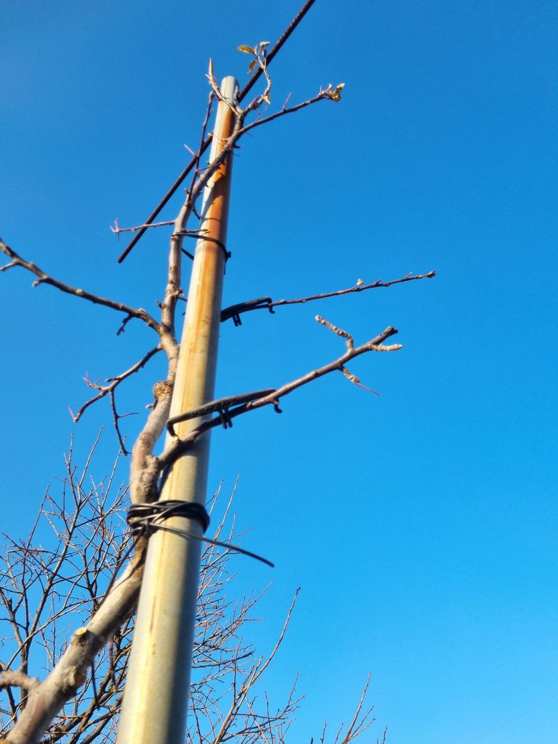 김용대님의 장터 구매 후기 썸네일