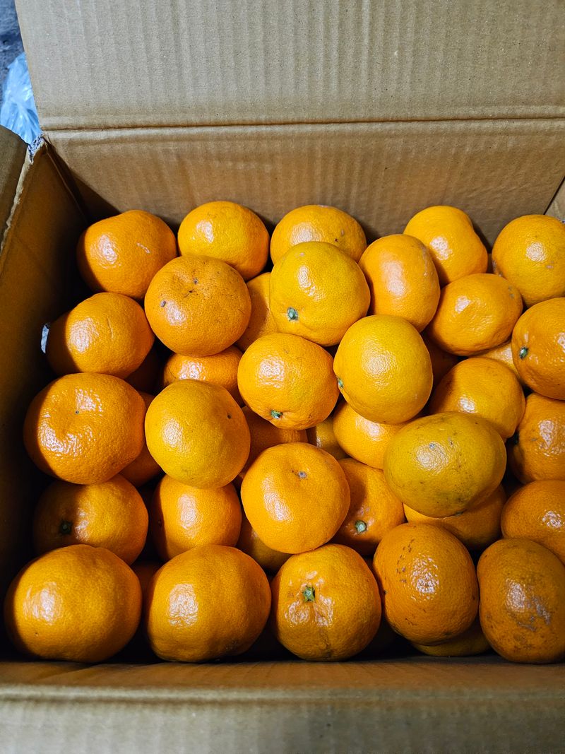 처마밑에추녀님의 장터 구매 후기 썸네일