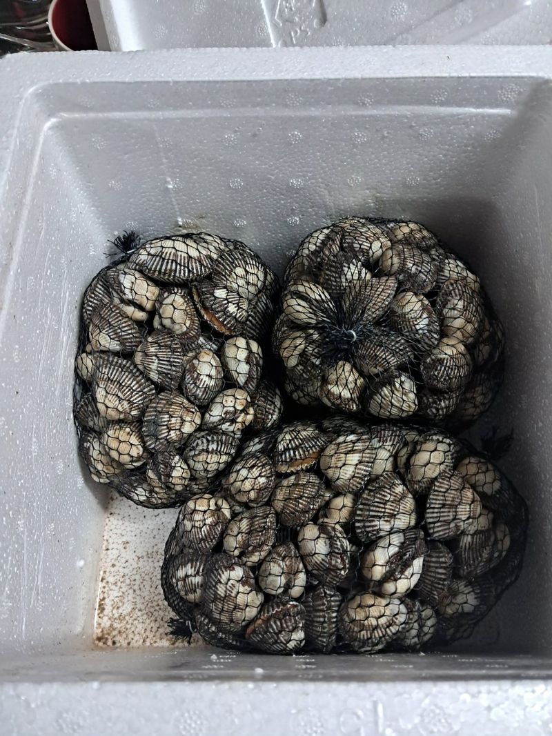 기녀이님의 장터 구매 후기 썸네일