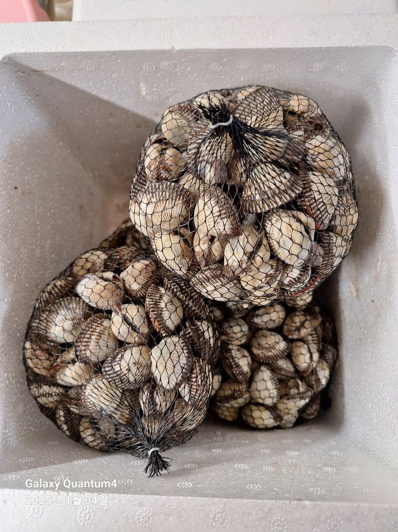 김용환님의 장터 구매 후기 썸네일