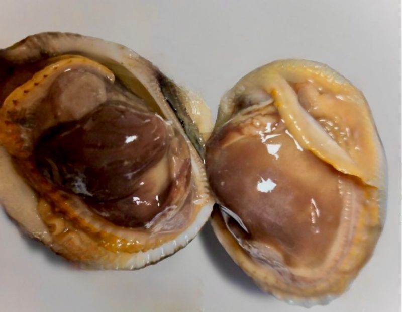 장독대님의 장터 구매 후기 썸네일