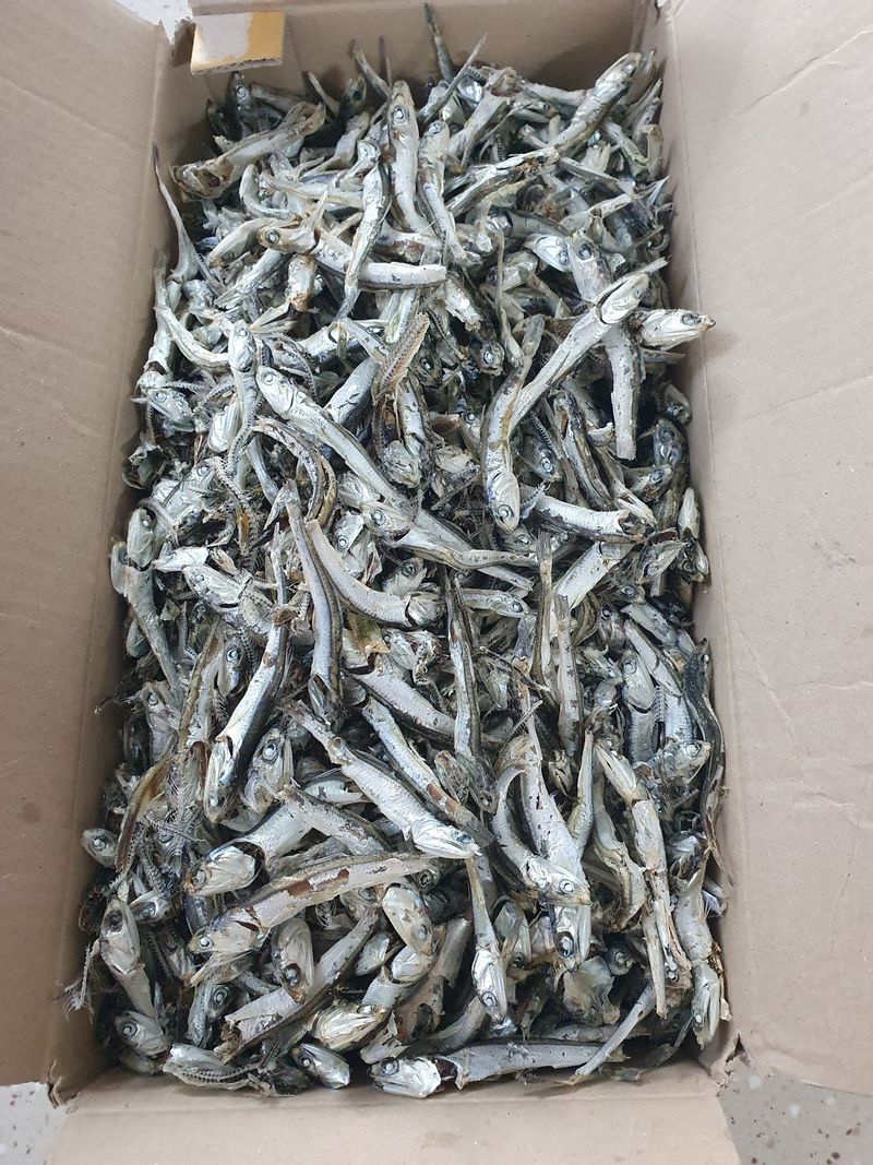 고재근님의 장터 구매 후기 썸네일