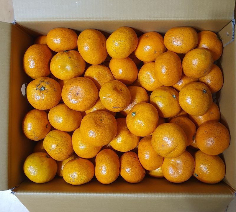 함영숙 님의 장터 구매 후기 썸네일