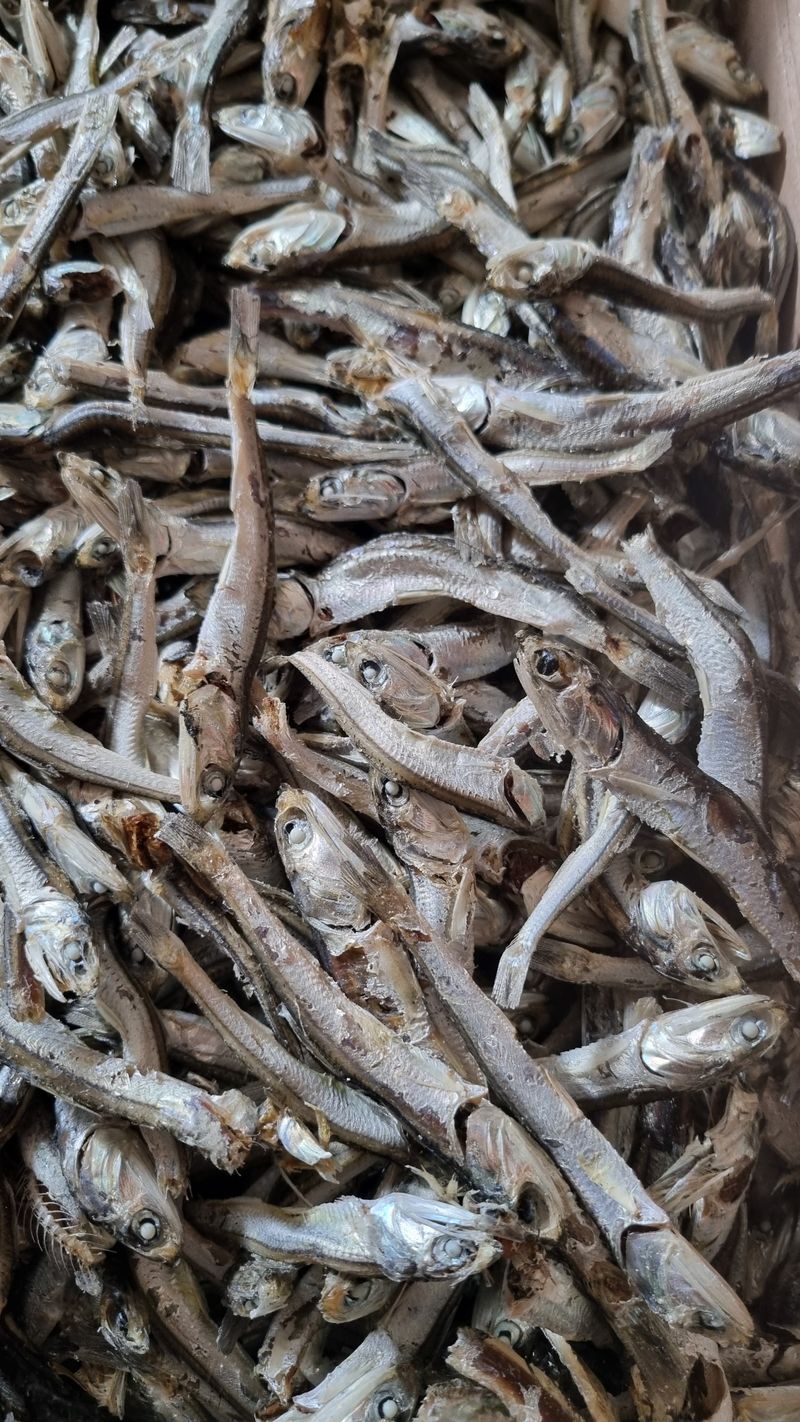 시금치21480님의 장터 구매 후기 썸네일