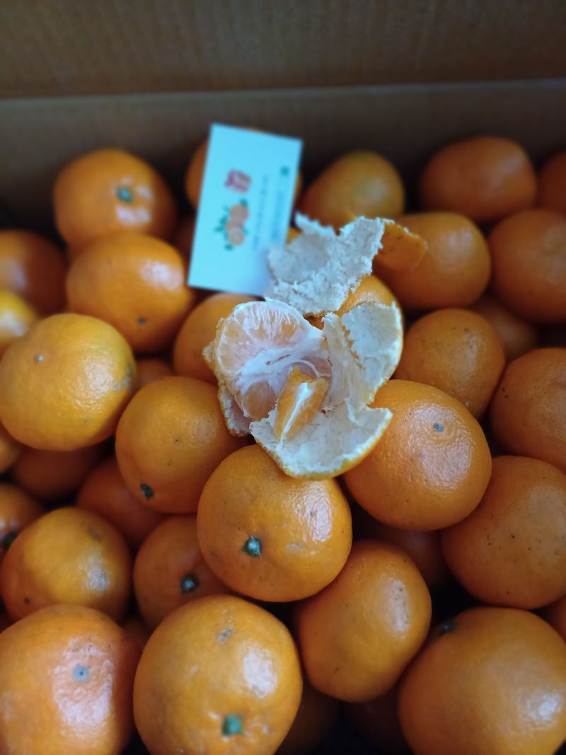 왕자두님의 장터 구매 후기 썸네일