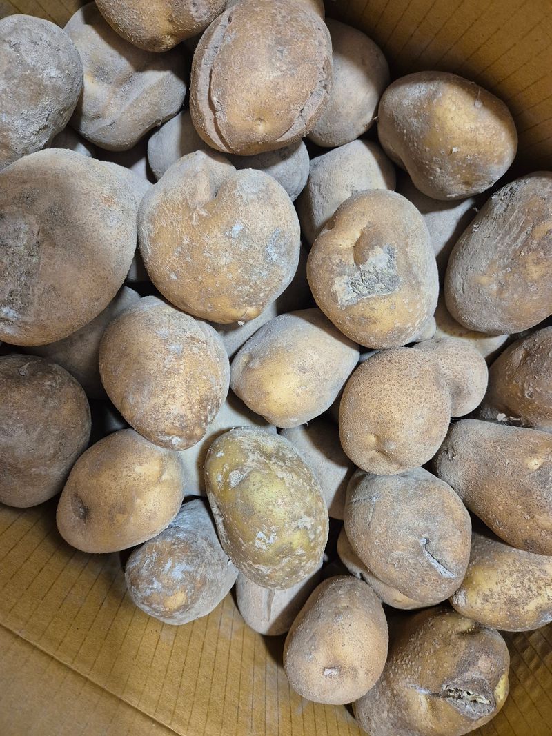 박지연님의 장터 구매 후기 썸네일