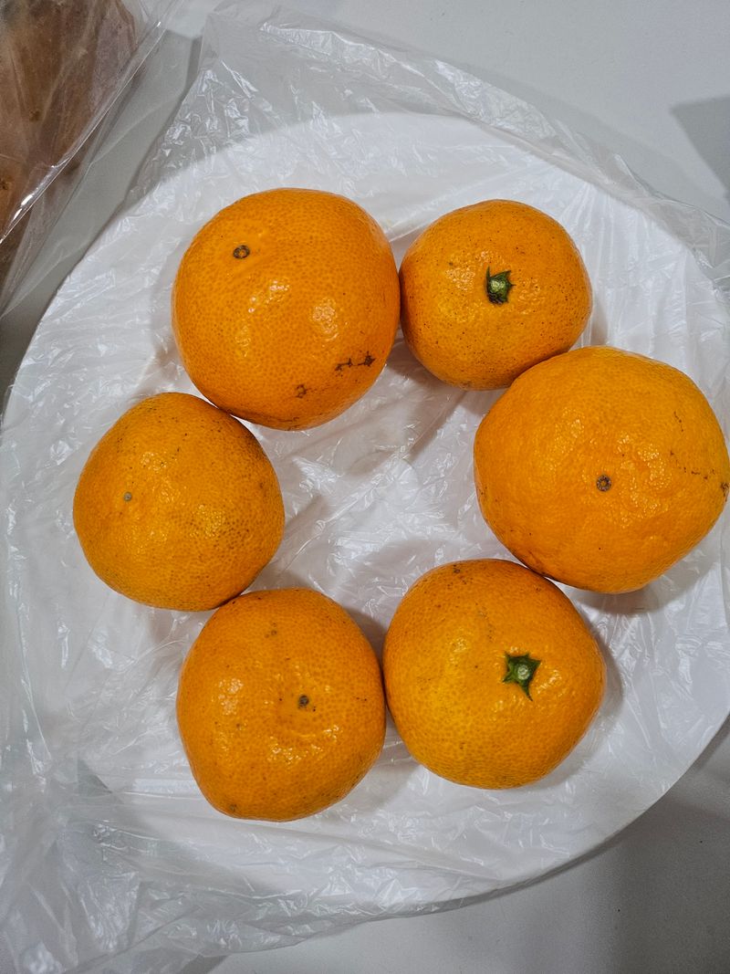 부추신랑 쪽파신부님의 장터 구매 후기 썸네일