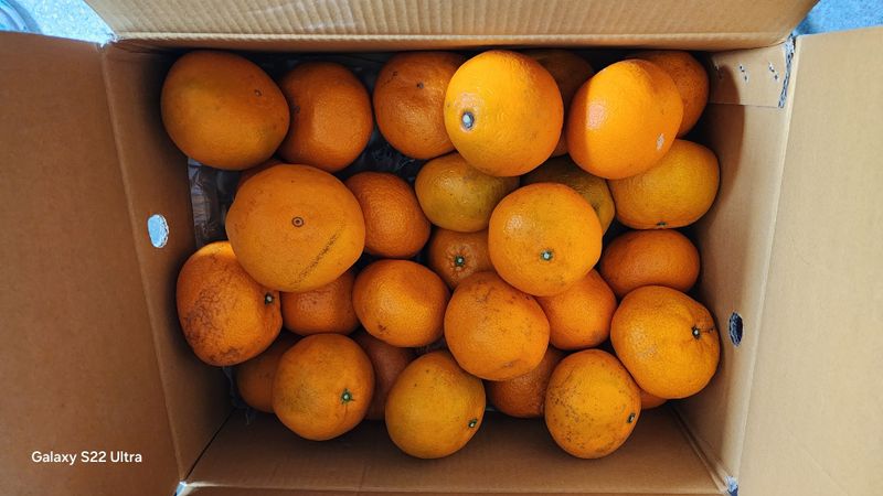 장영수님의 장터 구매 후기 썸네일