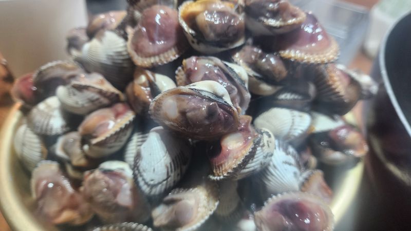 지구별나여사님의 장터 구매 후기 썸네일