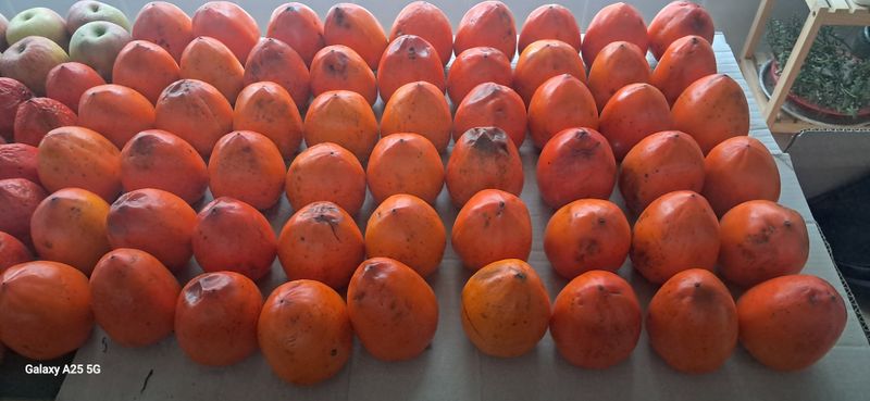 용기님의 장터 구매 후기 썸네일