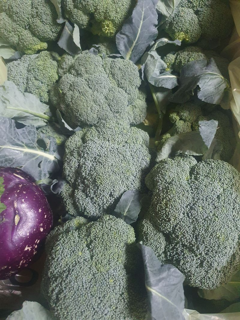 최우영님의 장터 구매 후기 썸네일