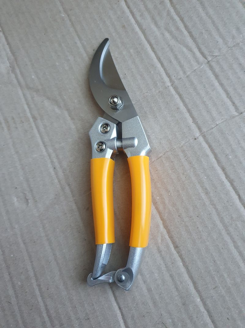 농림님의 장터 구매 후기 썸네일