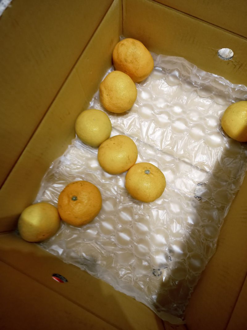 사과7352님의 장터 구매 후기 썸네일