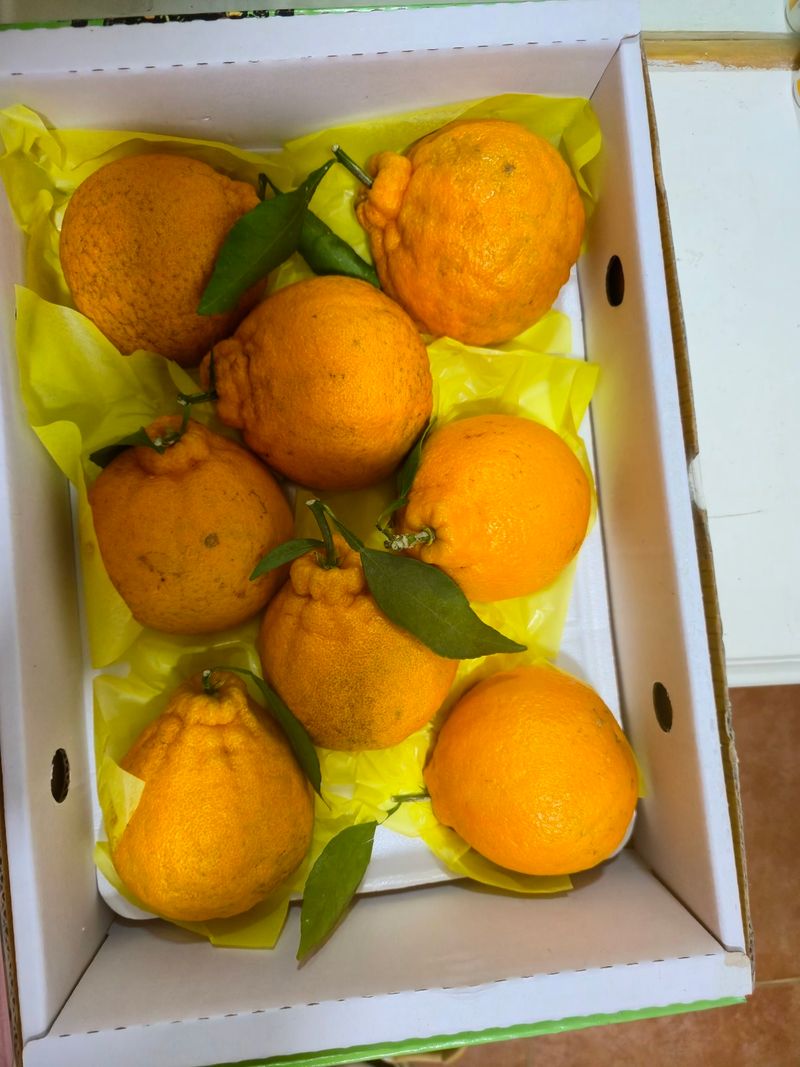 사과11584님의 장터 구매 후기 썸네일