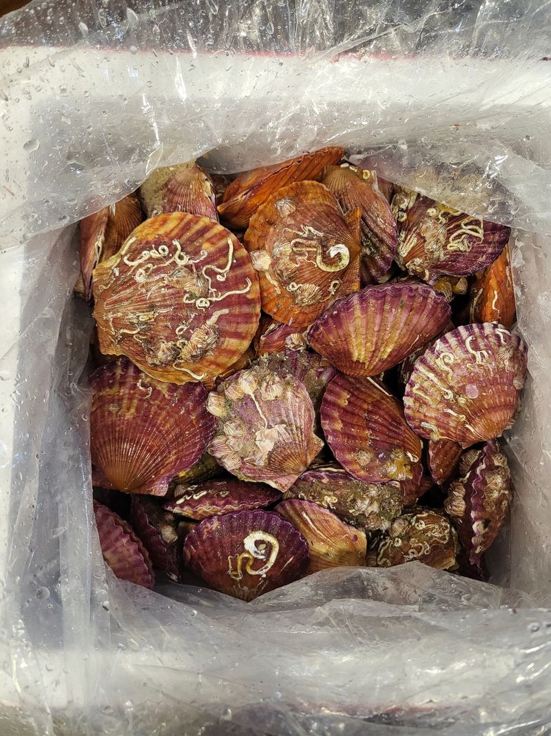 어승복님의 장터 구매 후기 썸네일