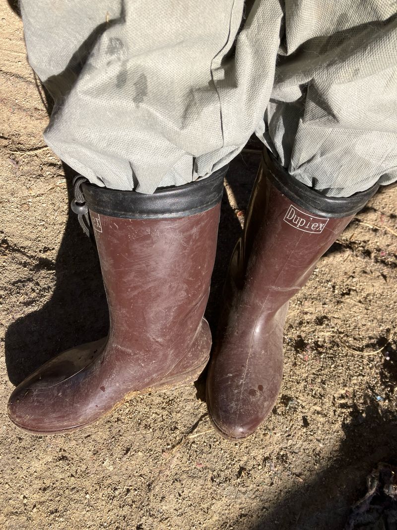 콩란이님의 장터 구매 후기 썸네일