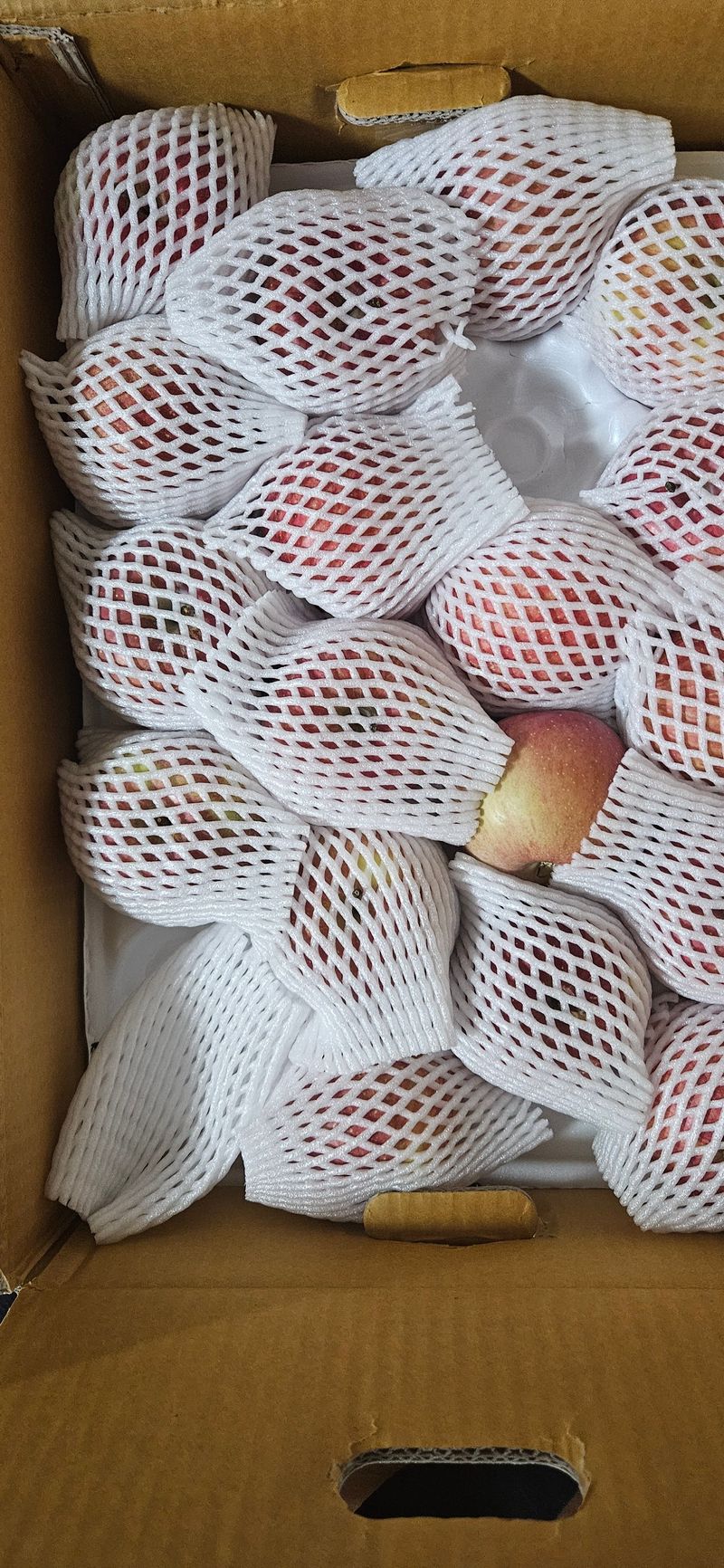 춘천(세모돌이)님의 장터 구매 후기 썸네일