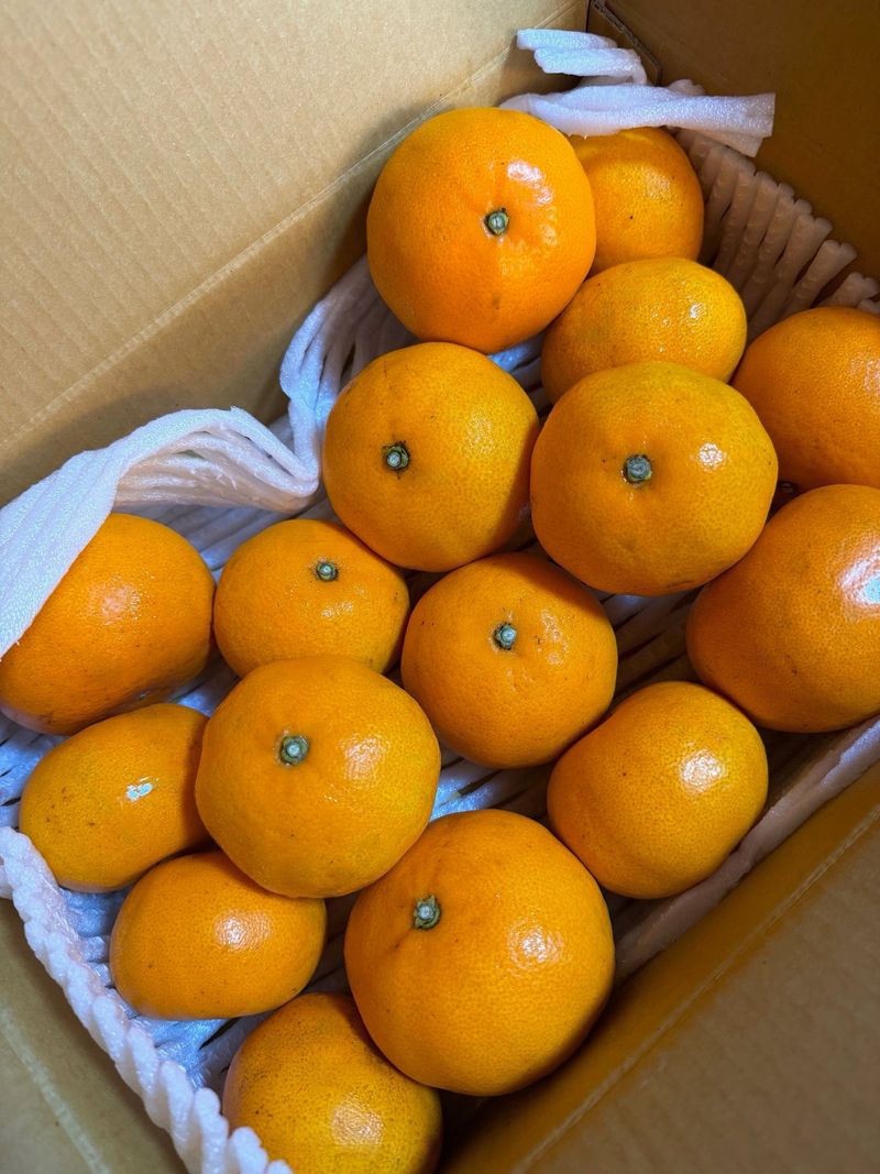 김용억님의 장터 구매 후기 썸네일