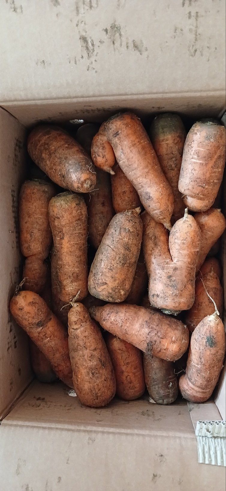 선샌님님의 장터 구매 후기 썸네일