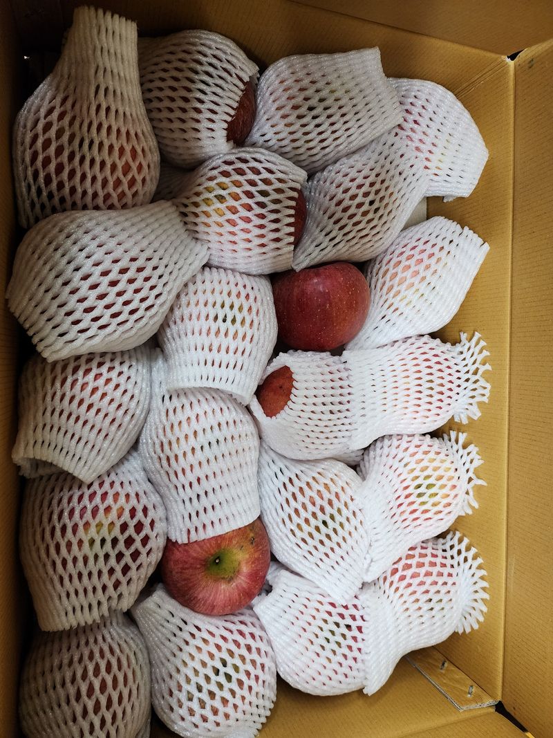 딸기2361님의 장터 구매 후기 썸네일