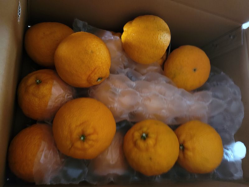 이상숙님의 장터 구매 후기 썸네일