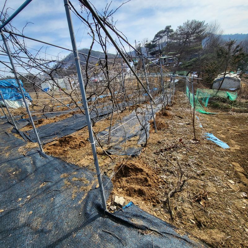오케바리(옥경종)님의 장터 구매 후기 썸네일