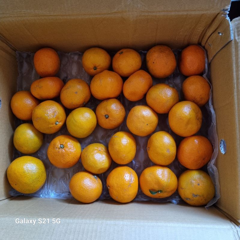 손인와님의 장터 구매 후기 썸네일