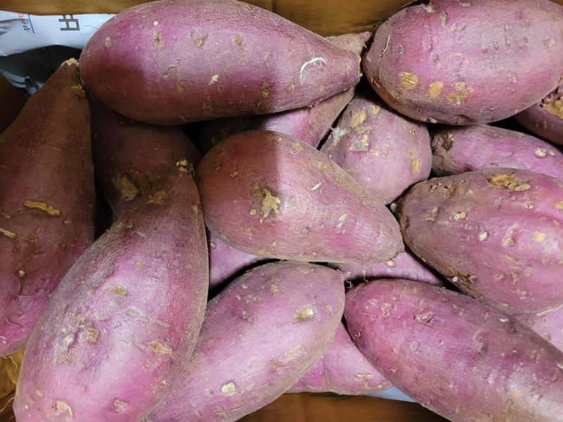 이순일님의 장터 구매 후기 썸네일