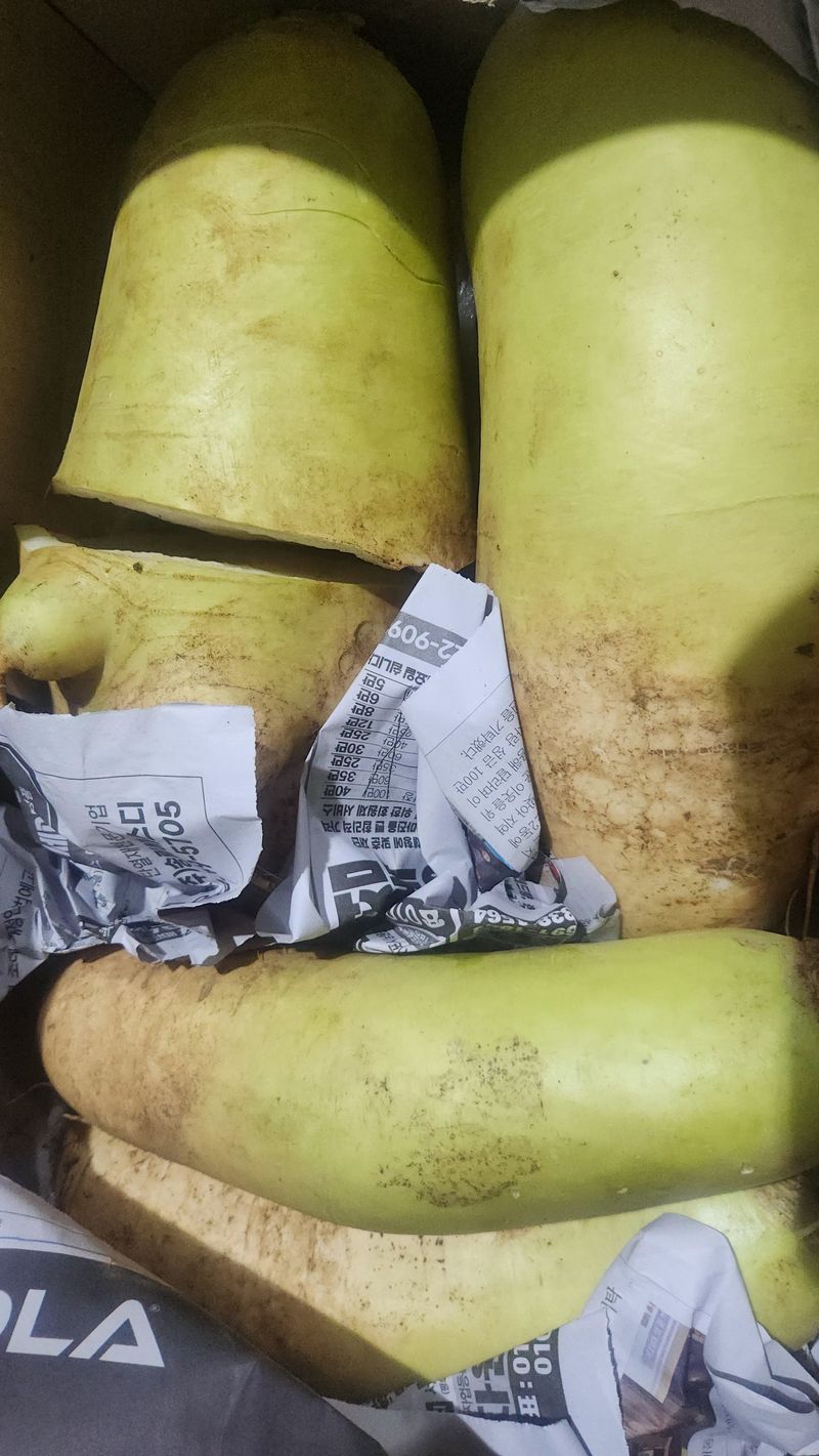 덕성농장배수경님의 장터 구매 후기 썸네일