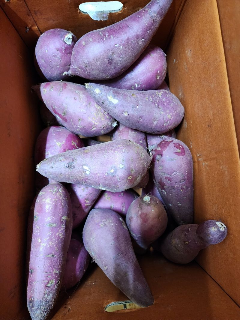 딸기2361님의 장터 구매 후기 썸네일