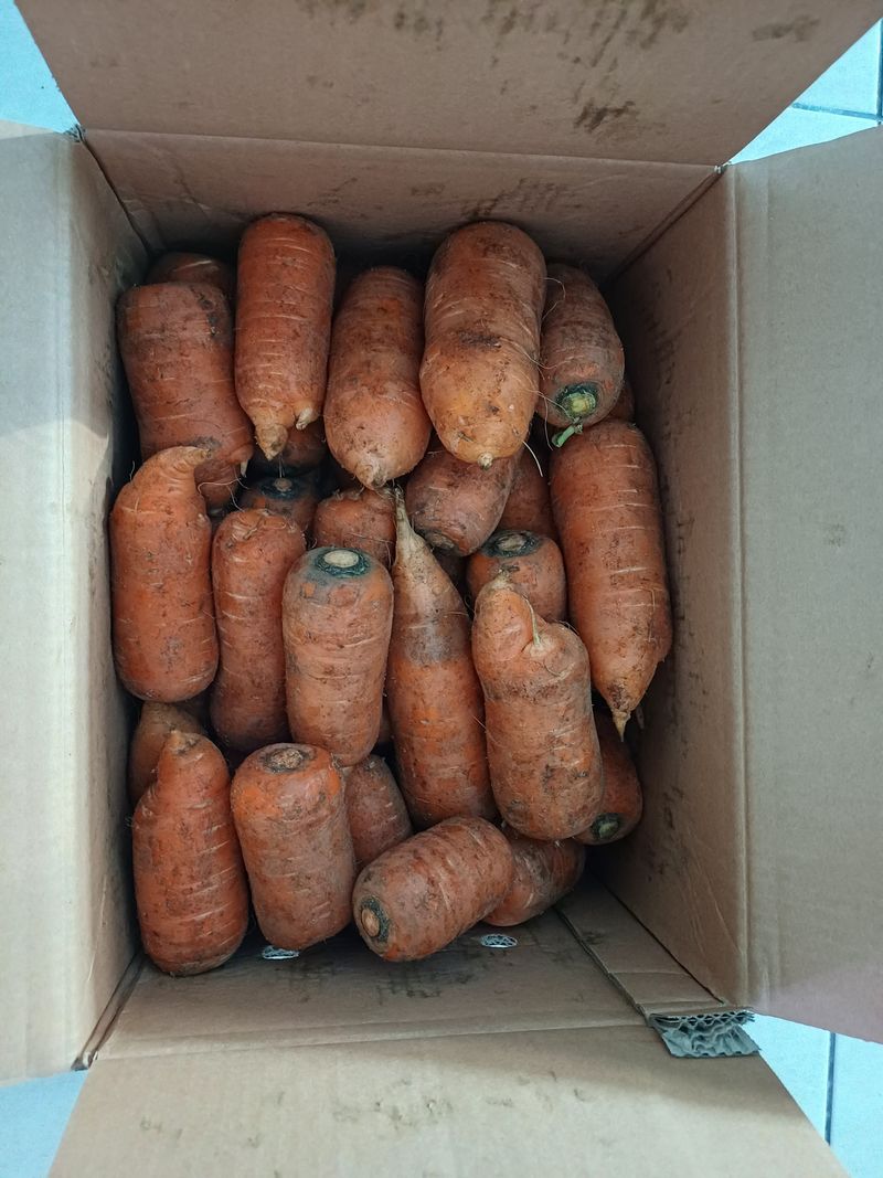 감8452님의 장터 구매 후기 썸네일