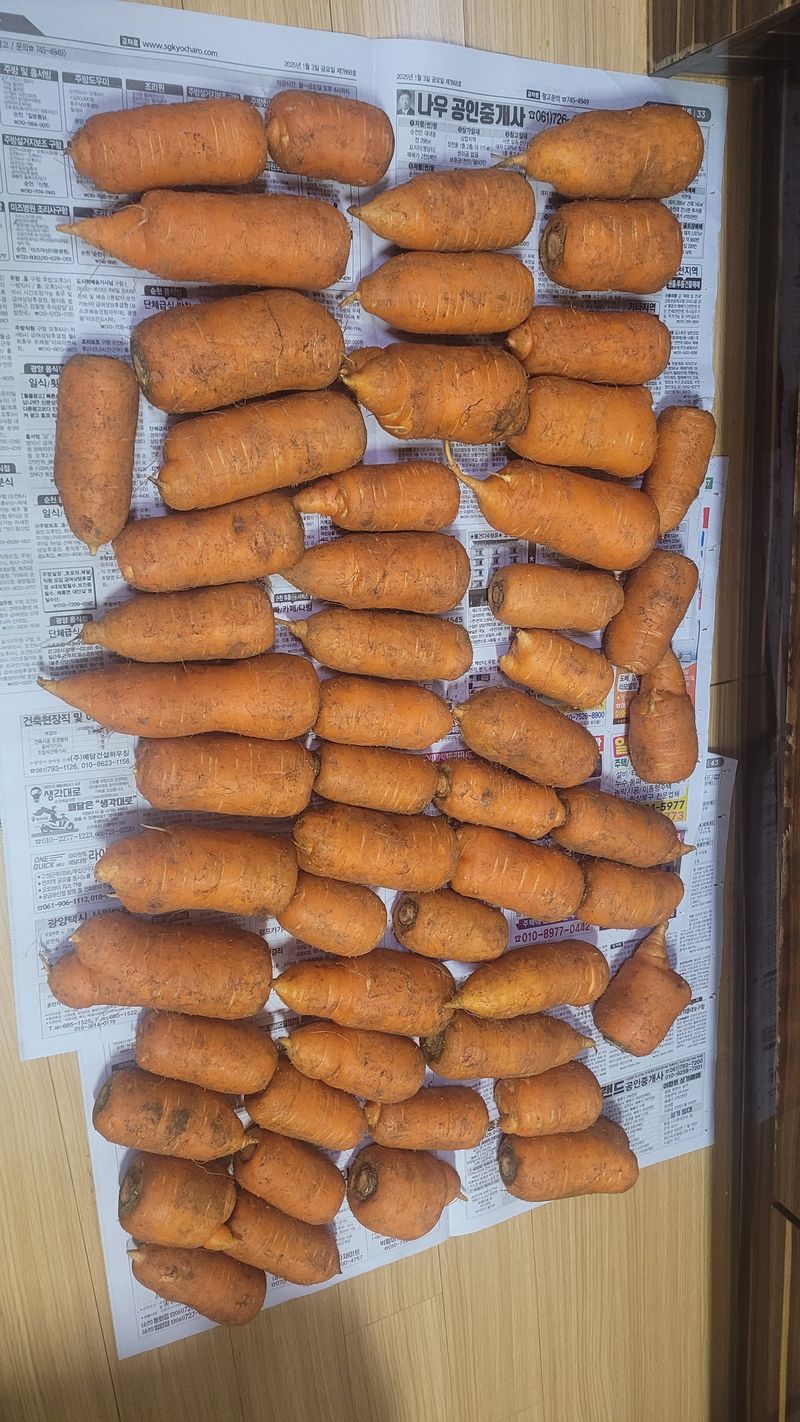 가랑비님의 장터 구매 후기 썸네일