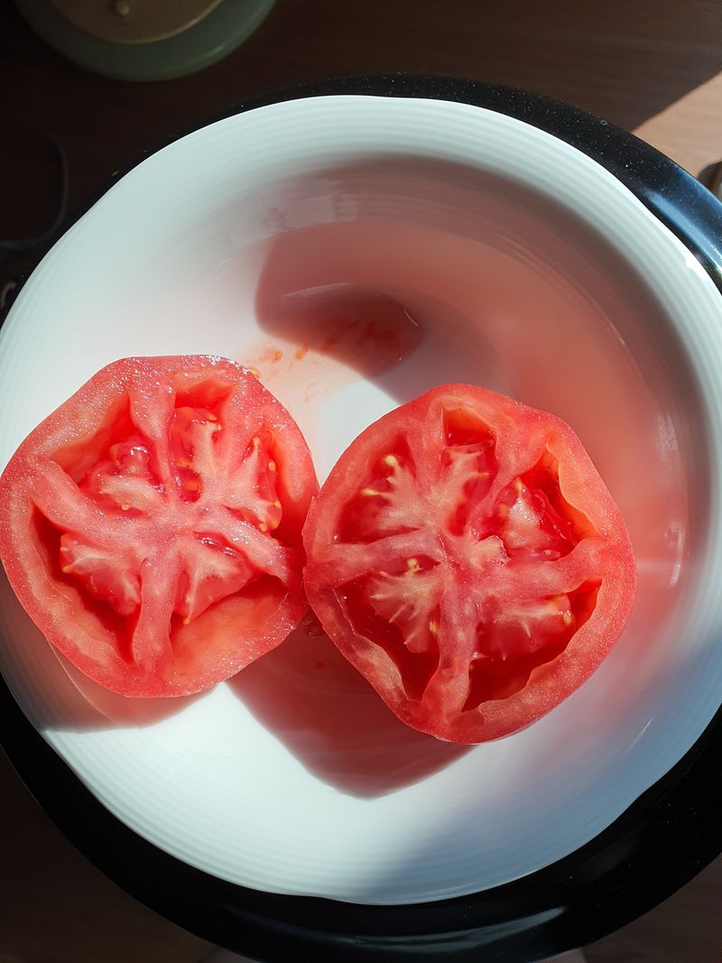 차상철님의 장터 구매 후기 썸네일