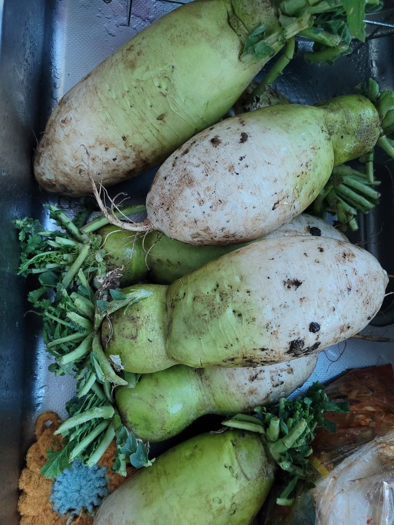 이연종님의 장터 구매 후기 썸네일