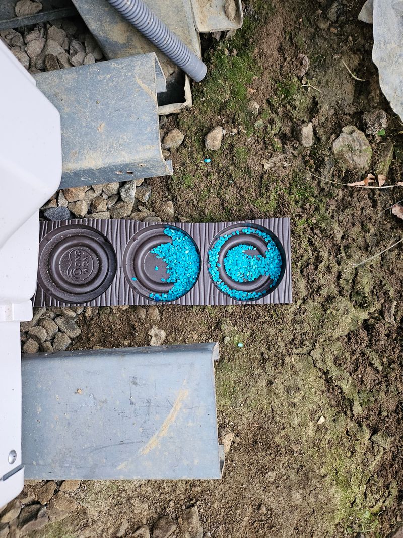 이왕권님의 장터 구매 후기 썸네일