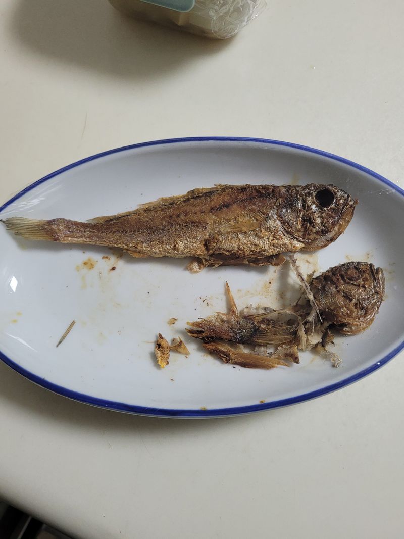 황정호님의 장터 구매 후기 썸네일