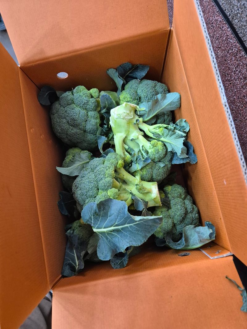 함평초보농민김지선님의 장터 구매 후기 썸네일