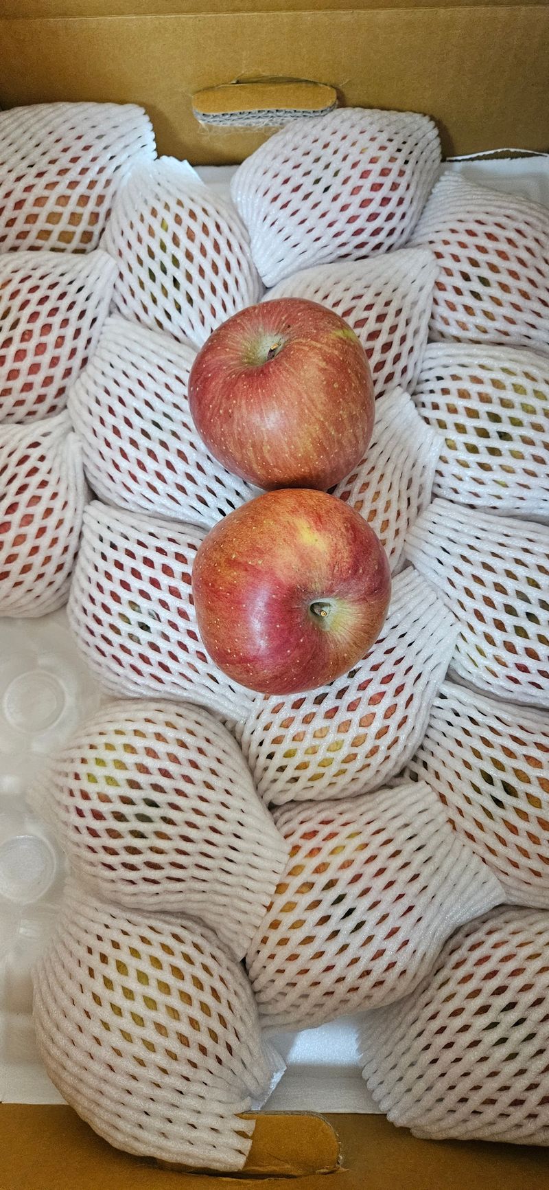 춘천(세모돌이)님의 장터 구매 후기 썸네일