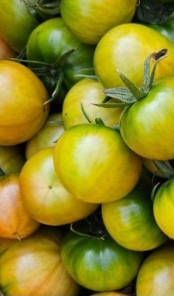 오이5261님의 장터 구매 후기 썸네일