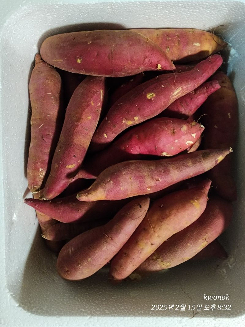 정권옥님의 장터 구매 후기 썸네일