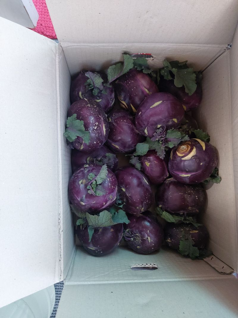 김진봉님의 장터 구매 후기 썸네일