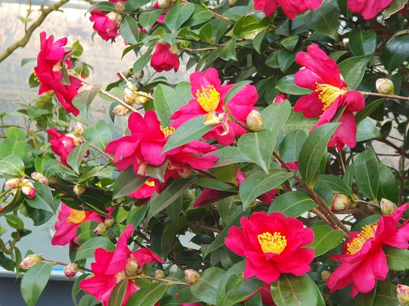 왕초보농부농님의 장터 구매 후기 썸네일